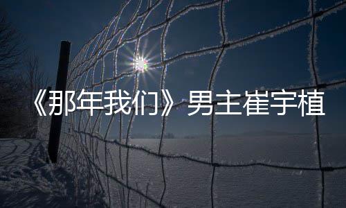 那年我男主拿最多美们植想佳情崔宇和金侣奖