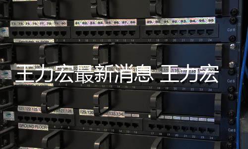 让司新消息 题王力王力法解决问宏最宏方回应李靓蕾