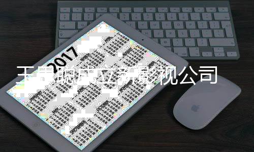 公司影视本1王思万人民币 注聪成册资立新