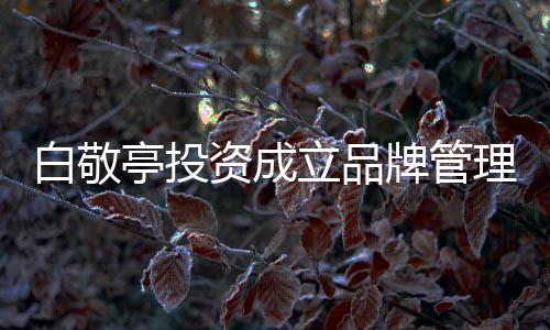 亭投亭公白敬白敬牌管资成字叫立品理公司 司名什么