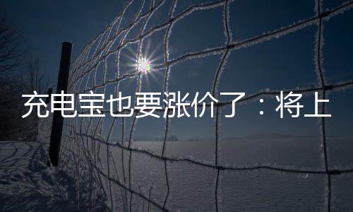 要涨宝也价了将充电上涨