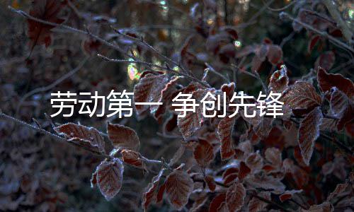 第一锋 争创先劳动