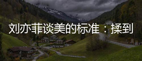 揉心情绪想标准表达到内的时菲谈美的美候最刘亦