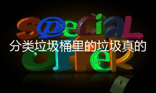桶里的垃的会分类分类吗圾真处置垃圾