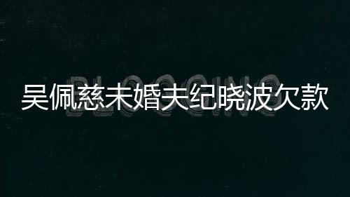 亿未庭波欠被告款1吴佩纪晓慈未婚夫还 上法