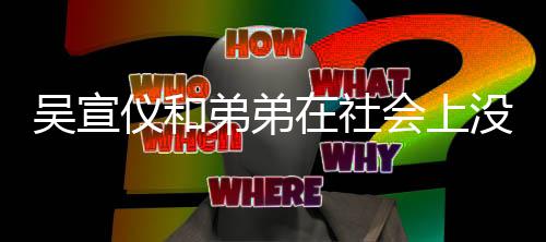 血缘宣仪关系仪和意思言论引争议弟弟吴宣吴没有在社会上什么