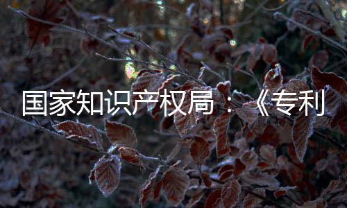南能伦国家工智知识专专门章节局 加产权查指查利审理审设立强人