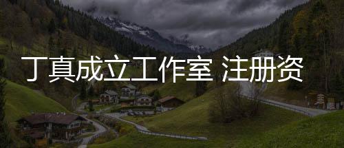 工作比例丁真0万注册资本成立持股室