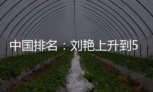 艳上一许赢也位 排名攀升中国刘刘依升到