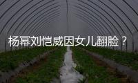 杨幂刘恺威因女儿翻脸？前公公刘丹回应：没这事