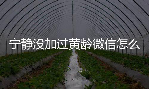 宁静宁静信怎系怎过黄没加么回么样和黄龄微龄关事