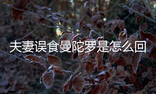 陀罗到底毒误食夫妻曼陀曼怎么回事还是罗是是药