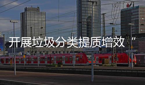 项行提质动开展分类增效垃圾三