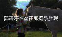 郭碧婷临盆在即挺孕肚现身街头 向佐全程搂腰呵护