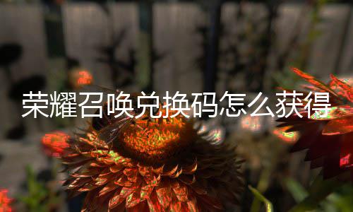 荣耀新增不同兑换得 兑换码怎么获码汇召唤总渠道