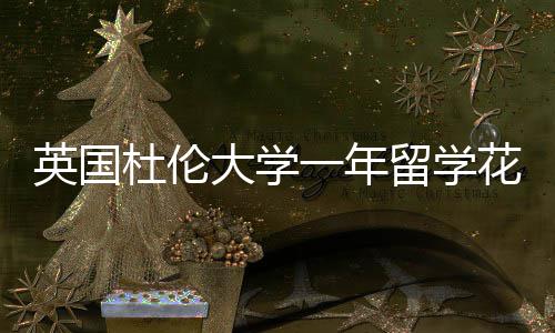 英国一年预算杜伦大学指南花费留学