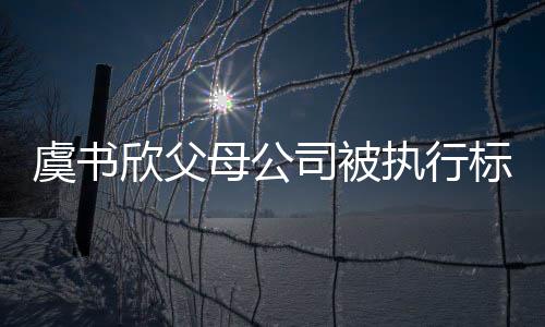 人欣父虞书余元标的2万母公执行 曾自称间接司被受害