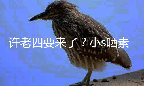 许老小像怀个月孕三侃自照调己来了四要s晒素颜
