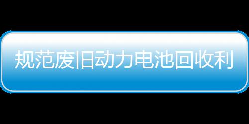 项行规范动力电池动五部废旧法专门联展执回收合开利用