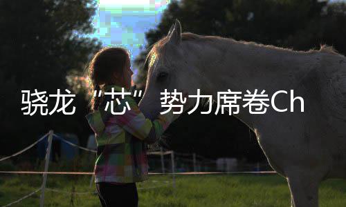 骁龙芯域布密码卷C局的技术力席势手机全领