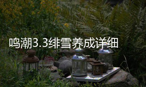 雪养细攻3绯鸣潮成详略
