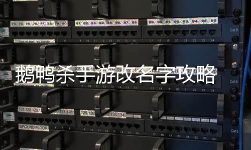 鹅鸭 鹅攻略改名游改鸭杀名字怎么字杀手手游