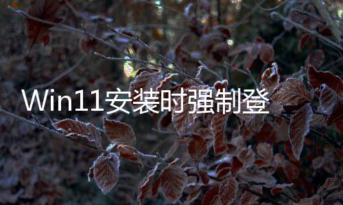 软副也讨厌这登录 微我1安装时账户总裁强制