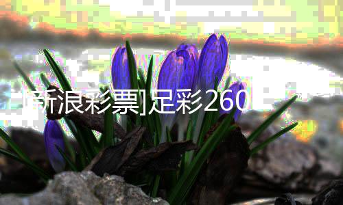 新盈亏布票防平足彩指数谨慎浪彩拉加9期