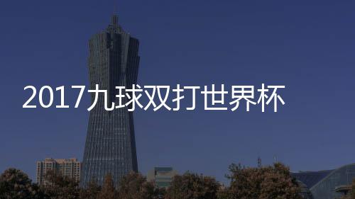 像 杯录比赛芬兰美国之一九球双打世界四分视频